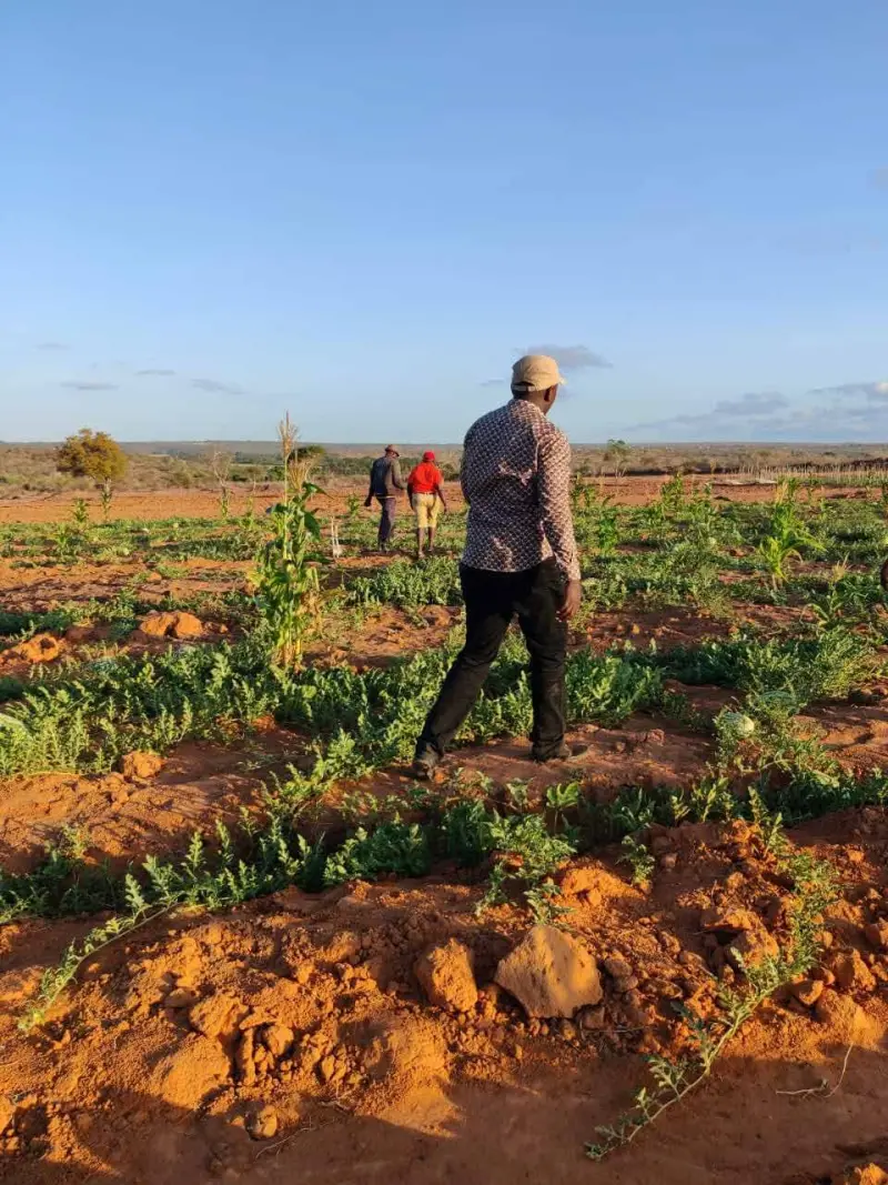 Walking the land at Wezesha Acres, Malindi