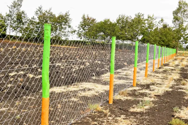 Perimeter fence at Wezesha Country Homes
